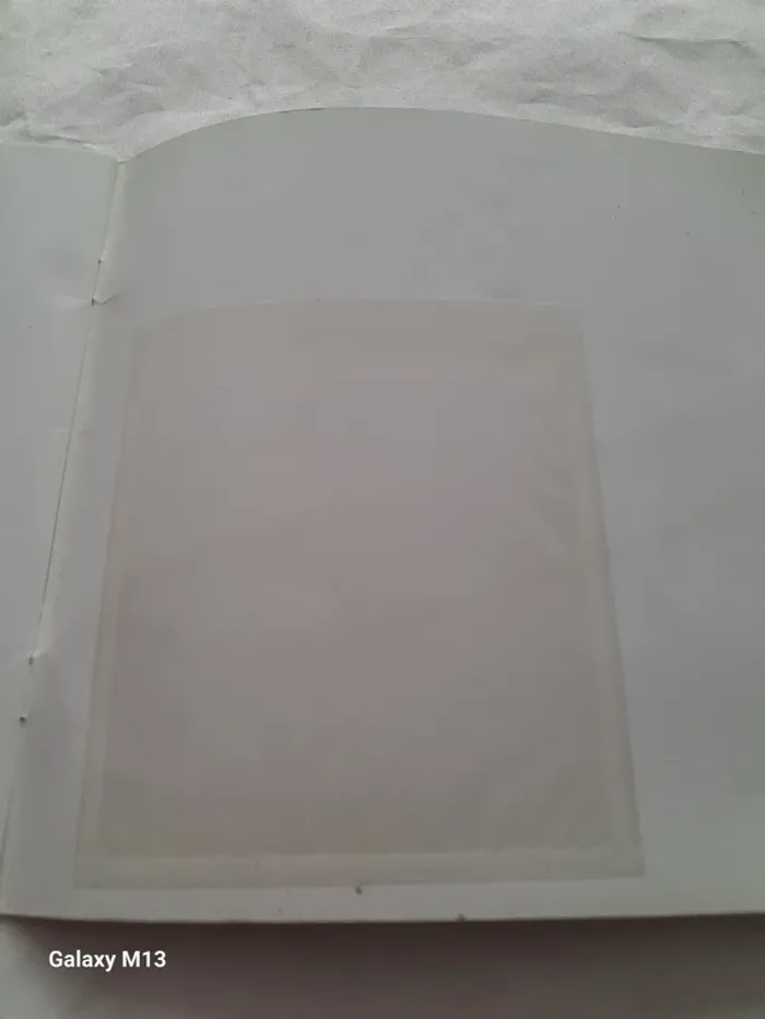 La Chouette de Noël Philippe Legendre Kvater - photo numéro 2