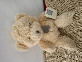 Peluche doudou ours câlin miel HISTOIRE D'OURS 
