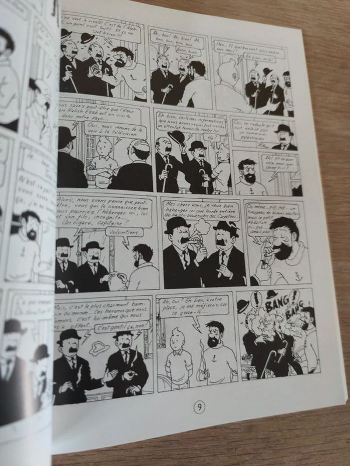 Tintin l'alph-art - photo numéro 4