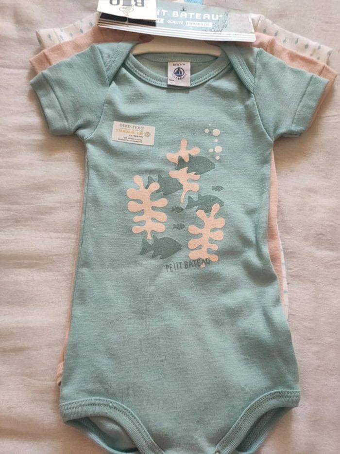 Lot de 3 body manches courtes petit bateau bio 6 mois