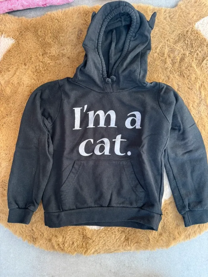 Pull effet chat (petite oreille sur capuche) taille 4 ans très bon état