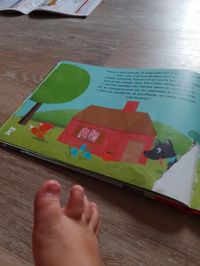 Les trois petits cochons - photo numéro 5