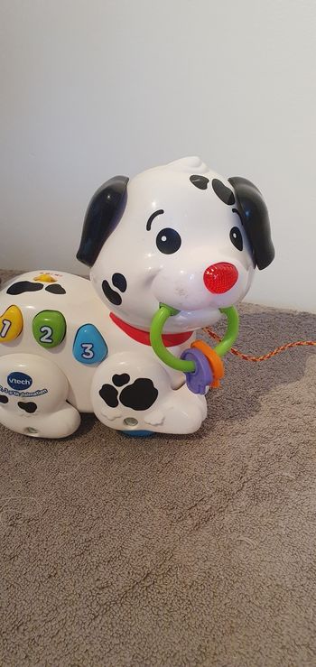 Mon petit dalmatien Vetch