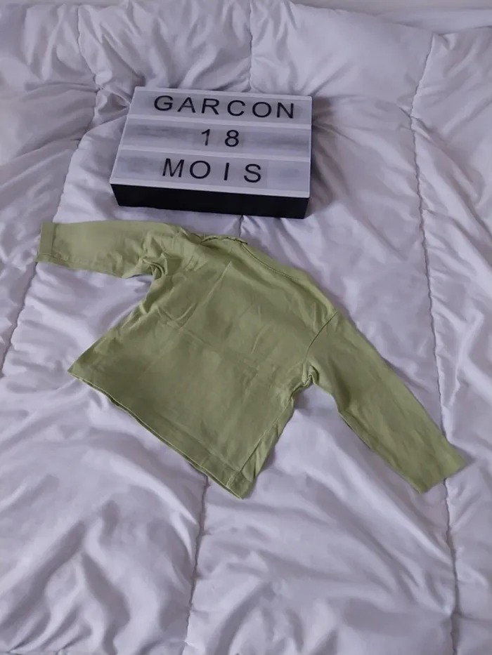 Tee-shirt manche longue garçon 18 mois - photo numéro 2