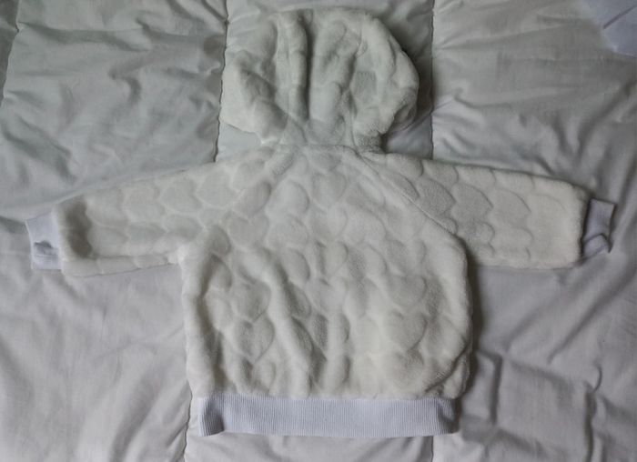 Gilet capuche petit 🐱 chat - photo numéro 4