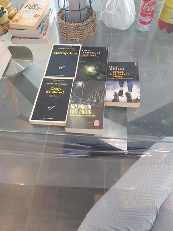 lot livre adulte policier