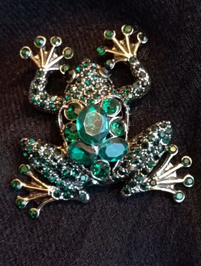 Idée cadeau 🎁 : Broche Grenouille verte