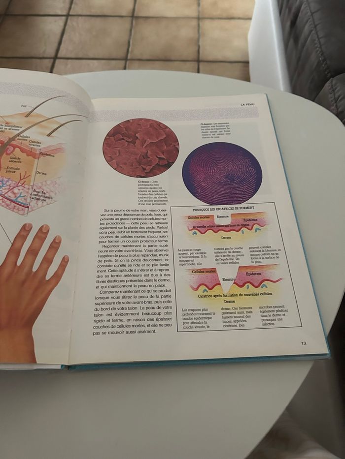 Livre apprendre le corps humain - photo numéro 2