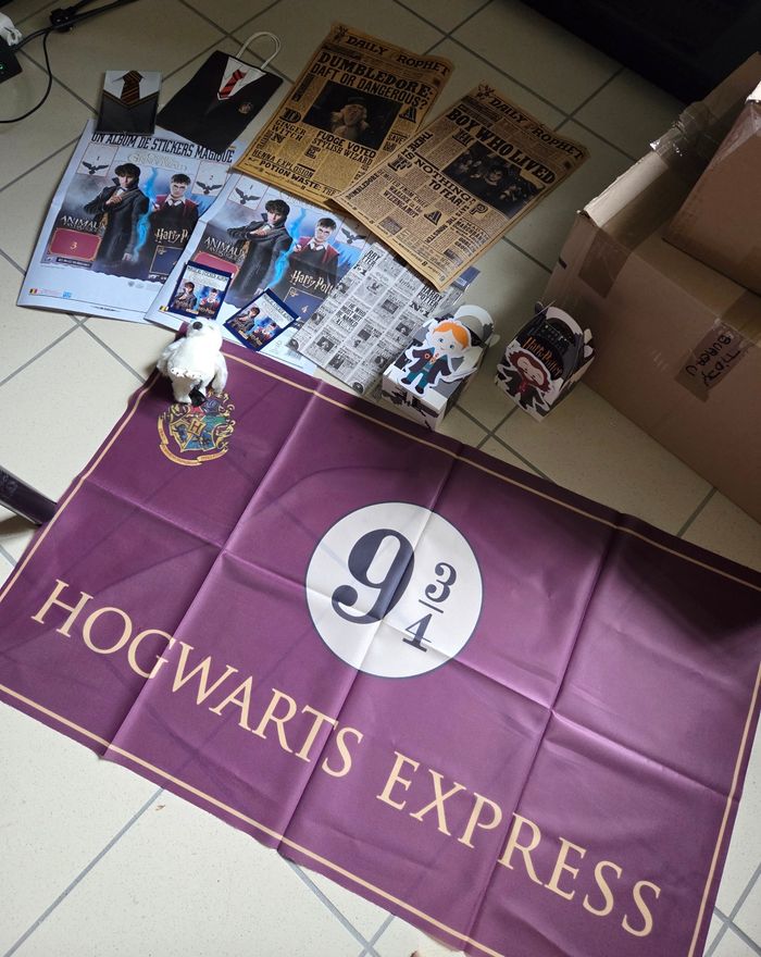 Lot de 13 goodies Harry Potter