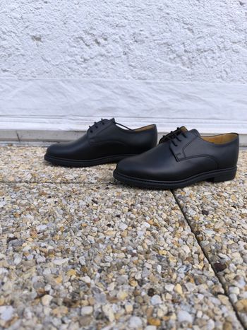 Derbies Hardrige noires