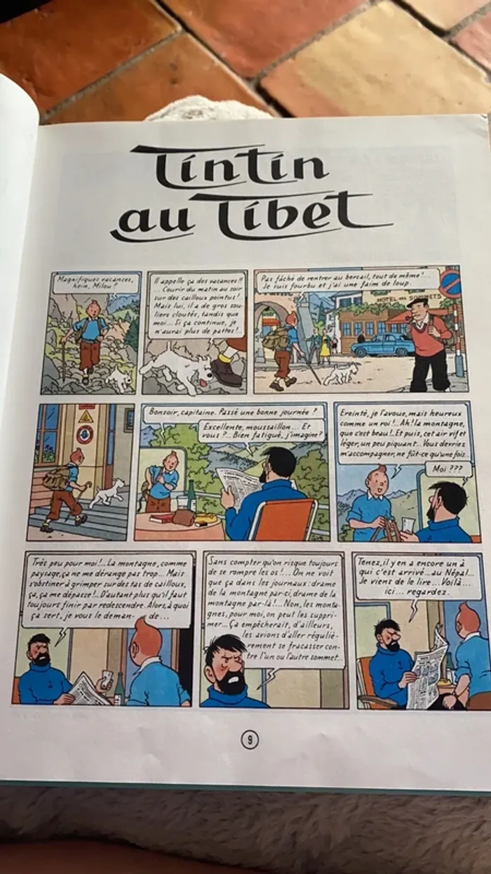 Album double - Tintin au Tibet et Les Bijoux de la Castafiore - photo numéro 5