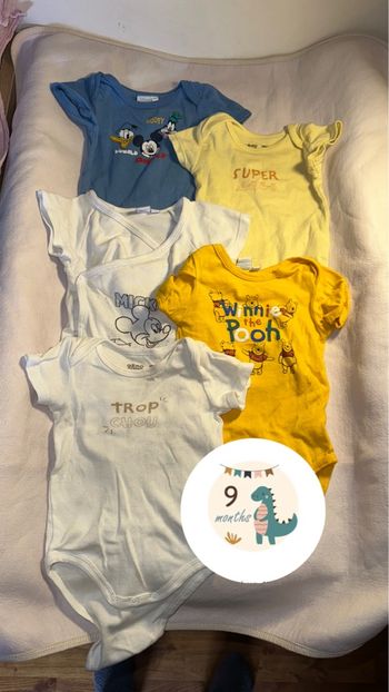 Lot de 10 bodies manches courtes – Taille 9 mois