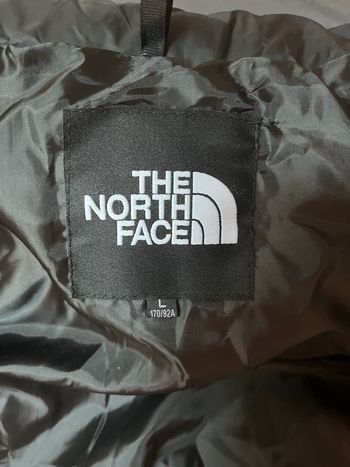 Manteau the north face violet