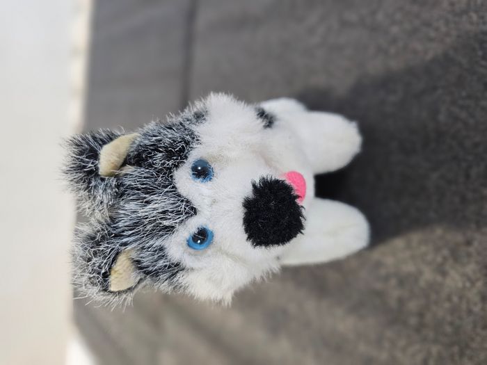 🧸 Peluche chien type Husky - photo numéro 6