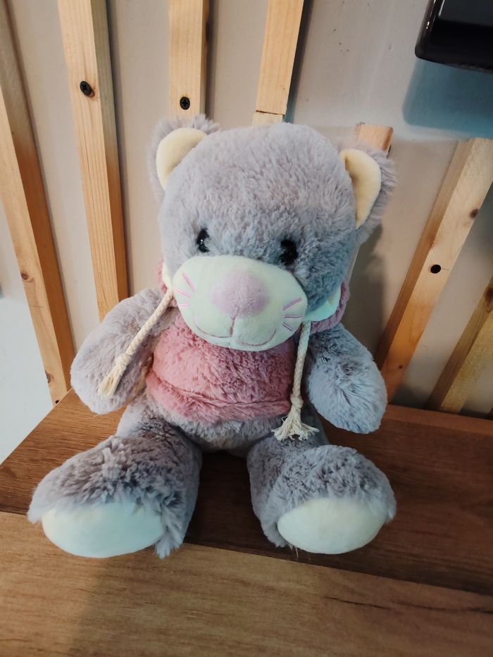 Chat gris gipsy pull rose