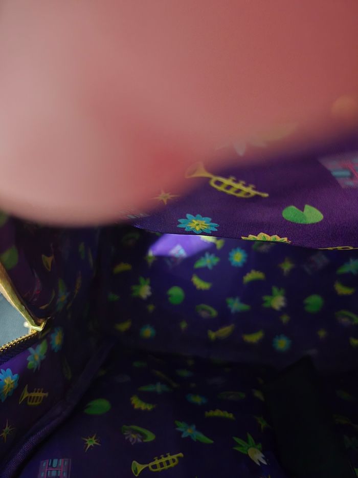 Loungefly la princesse et la grenouille - photo numéro 4