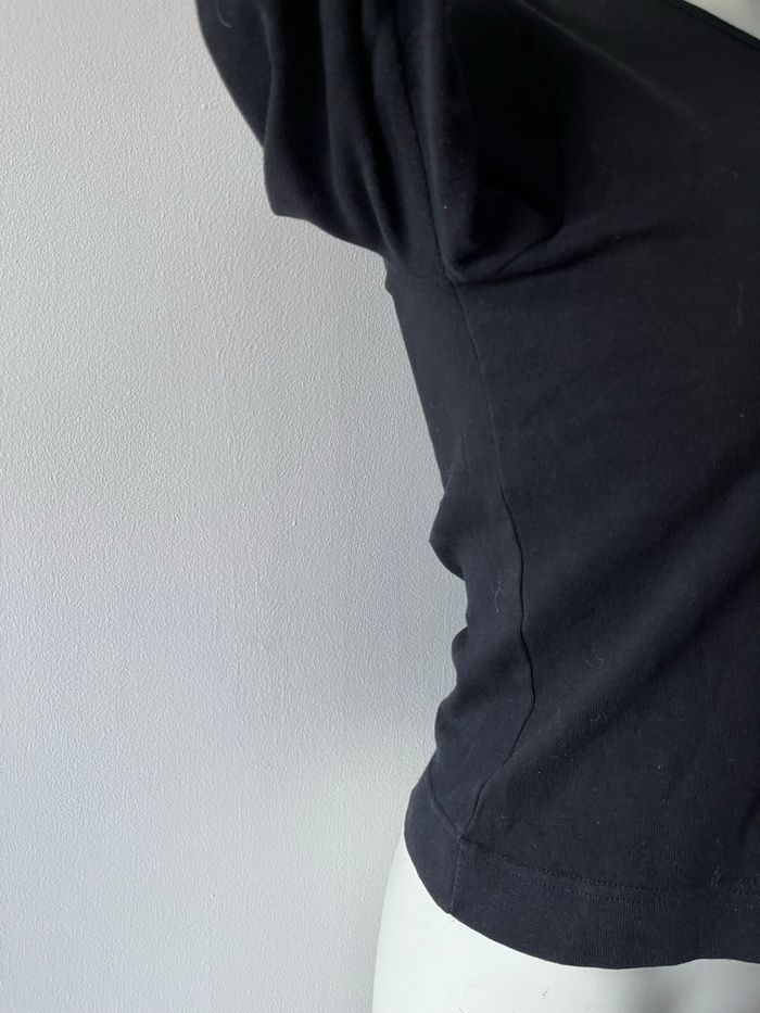 Haut diplodocus - photo numéro 4