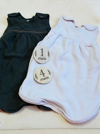 Lot 2 gigoteus Red Castle