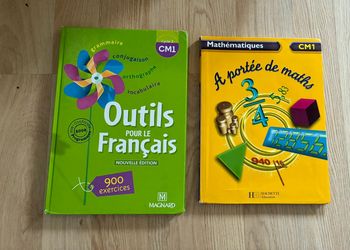 Lot de 2 livres français et maths CM1