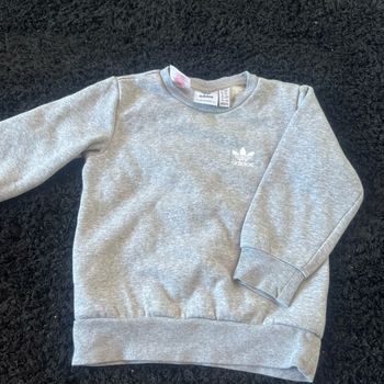 Pull adidas