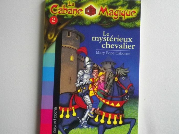 LE MYSTERIEUX CHEVALIER
