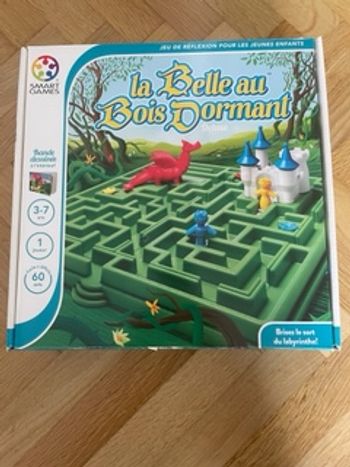 LA BELLE AU BOIS DORMANT JEU DE REFLEXION