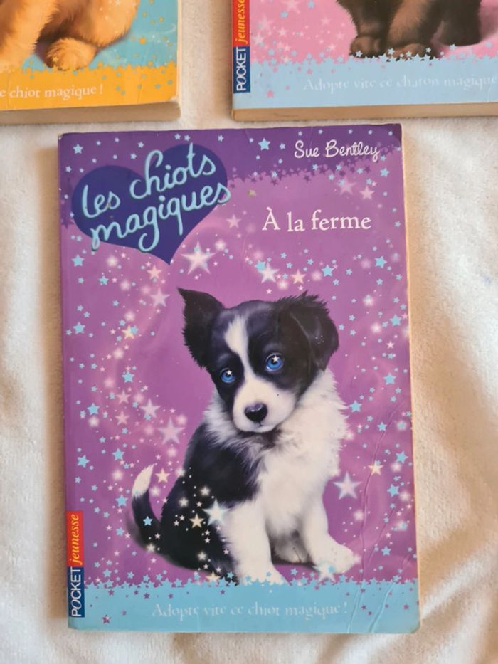 Lot 3 livres pocket jeunesse - photo numéro 6