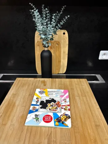 Livre jeu avec aimants pat patrouille