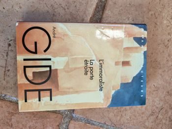 André Gide, roman L'immoraliste. La porte étroite