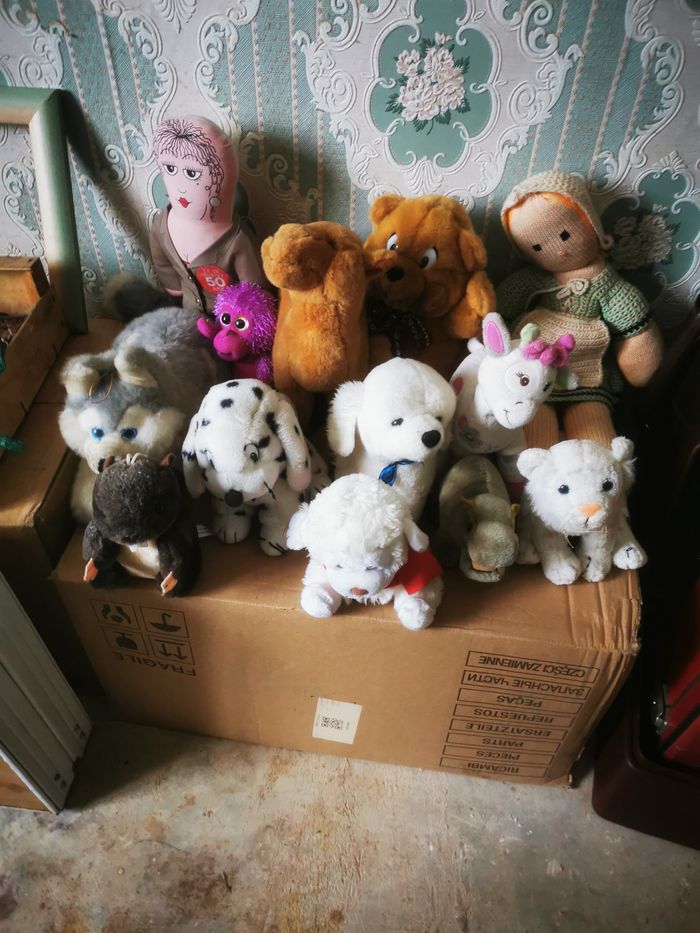 Peluches - photo numéro 6