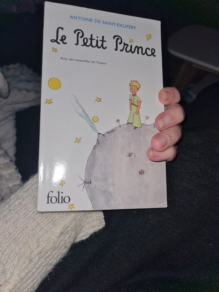 Le petit prince Antoine de Saint Exupery
