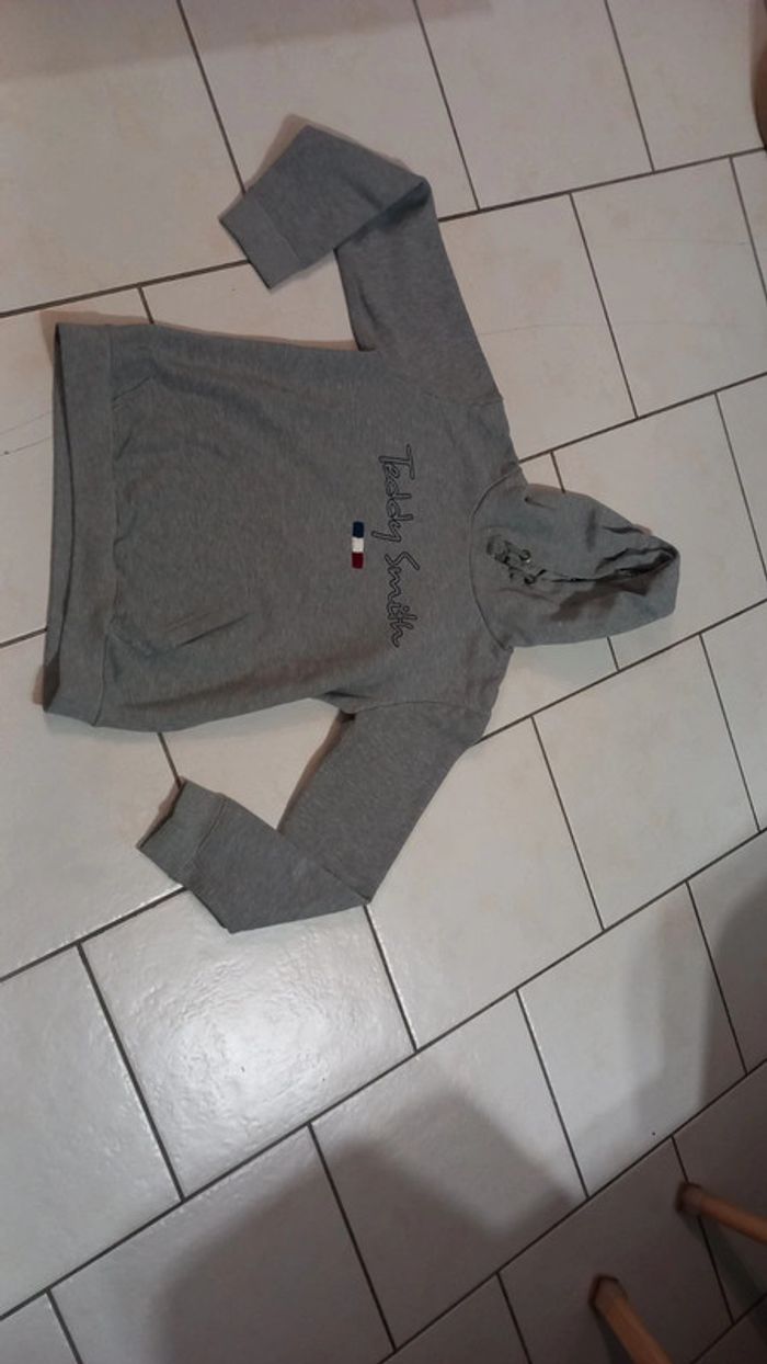 Pull gris teddy smith à capuche s