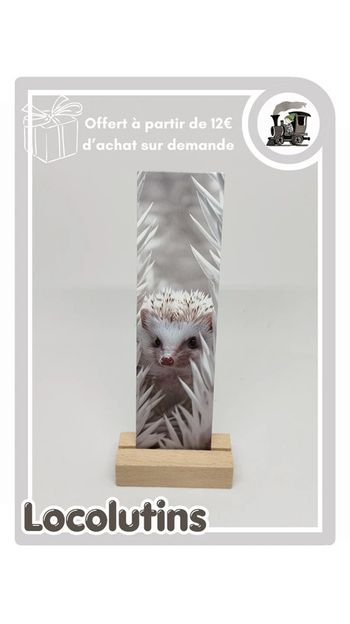 🚂 Marque page hérisson