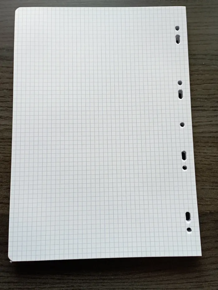 Lot feuilles simples A4 perforées petits carreaux - photo numéro 2