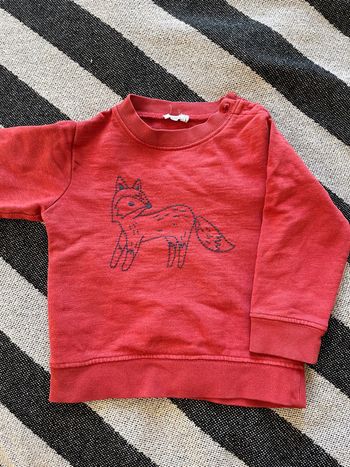 Sweat 24M boutchou