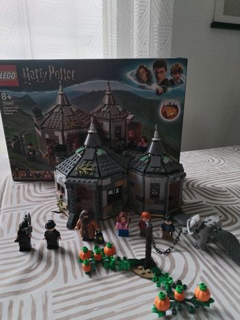 Lego Harry Potter La cabane d'Hagrid 75947