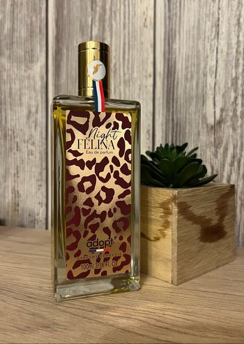Parfum Night Felina 100ml neuf
