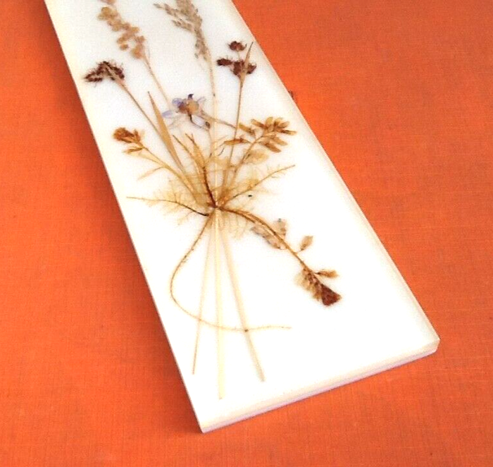 Années 1970 Herbier à suspendre fleurs pressées plexiglas - photo numéro 4