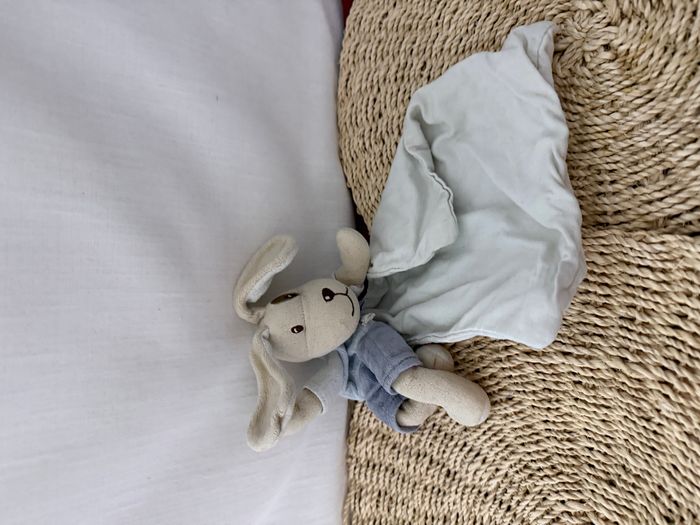 Chien SUCRE D'ORGE doudou Cajou beige cocard et bleu mouchoir blanc - photo numéro 3