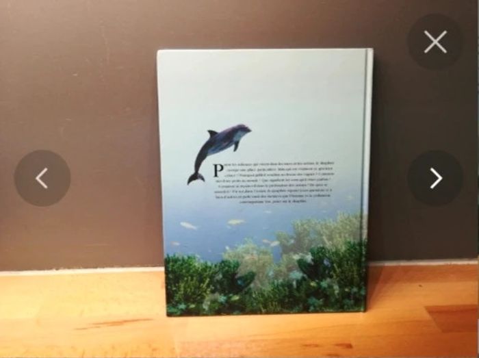 Livre un roi dans l'océan, le dauphin - photo numéro 2
