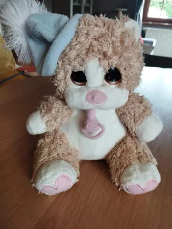 Peluche chat + bonnet. 25 cm