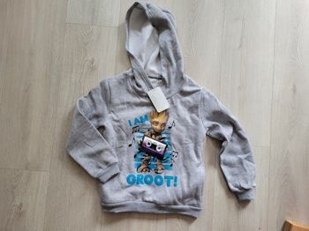 Sweat disneyland paris groot 8 ans