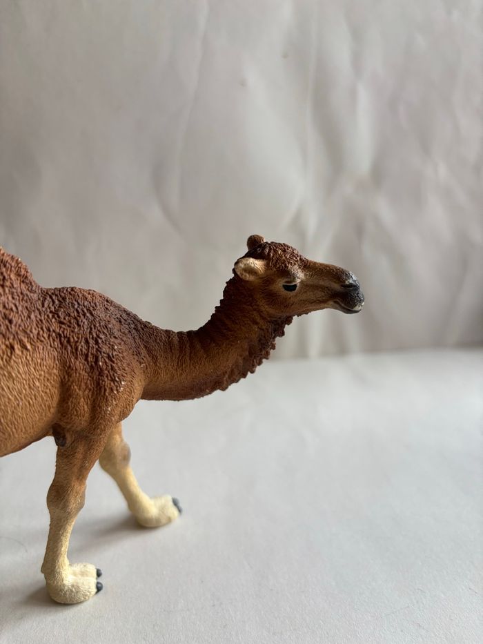 Chameau Schleich - photo numéro 2