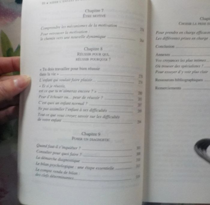 Aider l'enfant en difficulté scolaire par Jeanne Siaud-Facchin - photo numéro 9