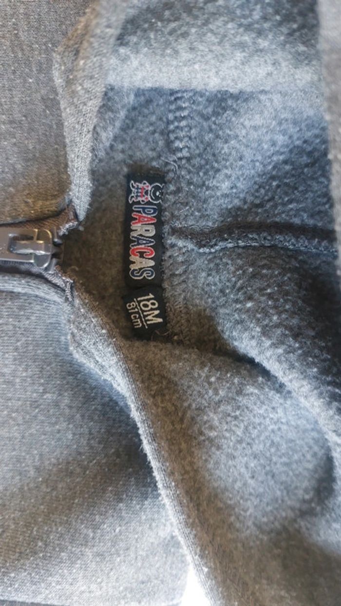 Veste à capuche 18 mois bon état - photo numéro 2
