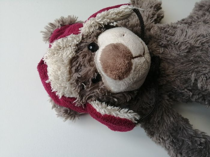 peluche ours - photo numéro 7