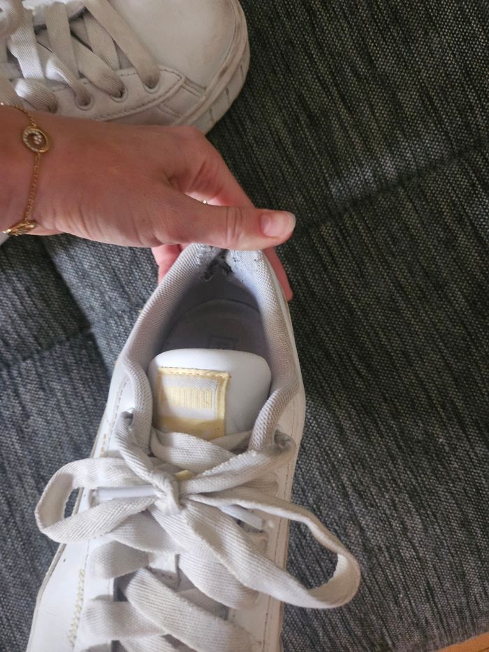 Puma - photo numéro 5