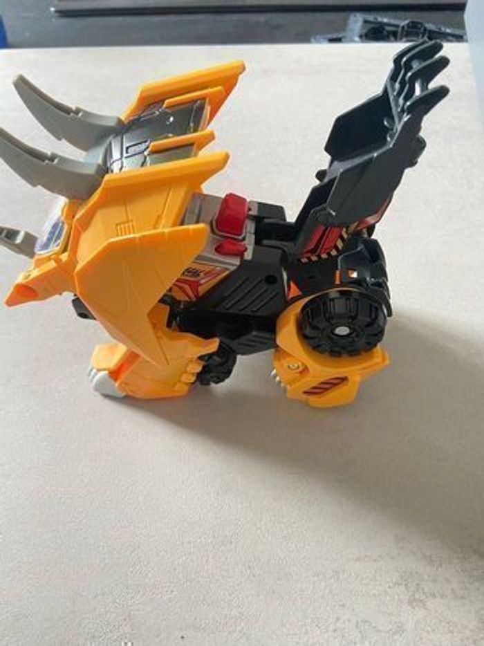 Molops super tricératops - photo numéro 2