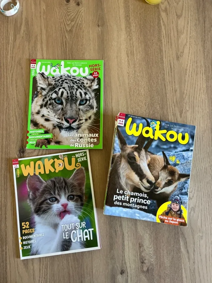 Magazine Wakou