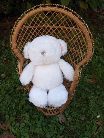 Doudou ours neuf